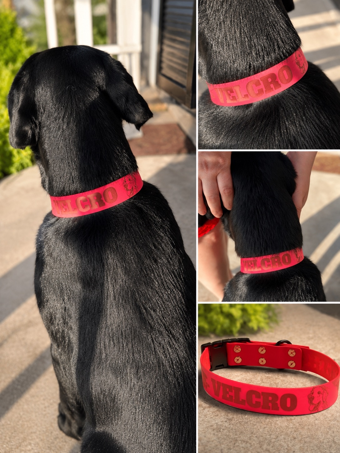 Velcro - Collier Biothane rouge